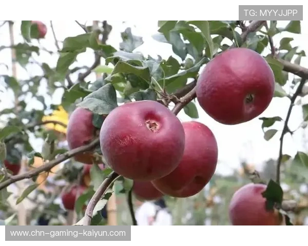 探索“体育+文旅”融合发展新路径—山西“晋中·她超”联赛精彩开启 探索“体育+文旅”融合发展新路径—山西“晋中·她超”联赛精彩开启